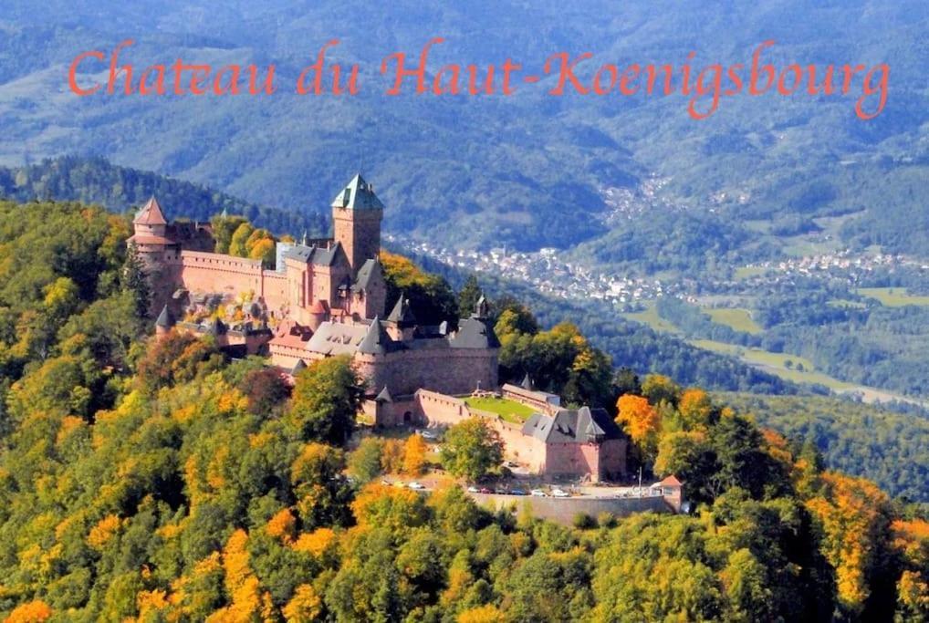 セレスタNew L'Industr'Ill Au Coeur De L'Alsaceアパートメント エクステリア 写真
